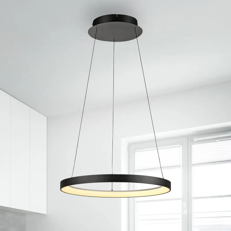 LED hanglamp Hoop, Ø 57 cm, dimbaar van Paul Neuhaus in Zwart – productfoto