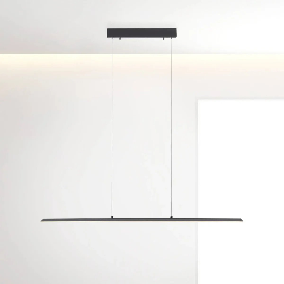 LED hanglamp Lite, antraciet, 100 cm, CCT, dimbaar fra Paul Neuhaus i Antracit, Hvid – produktbillede