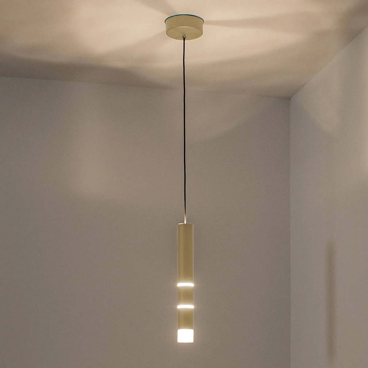LED hanglamp PURE Vega, een cilinder, messing by Paul Neuhaus in Gesatineerd mat messing – product photo