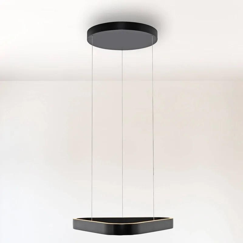 LED hanglamp Q-Stretto, zwart, 60 cm de Paul Neuhaus en Noir, Blanc – photo produit