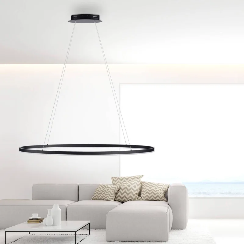 LED hanglamp Titus, 118x56cm, CCT, dimbaar de Paul Neuhaus en Anthracite – photo produit