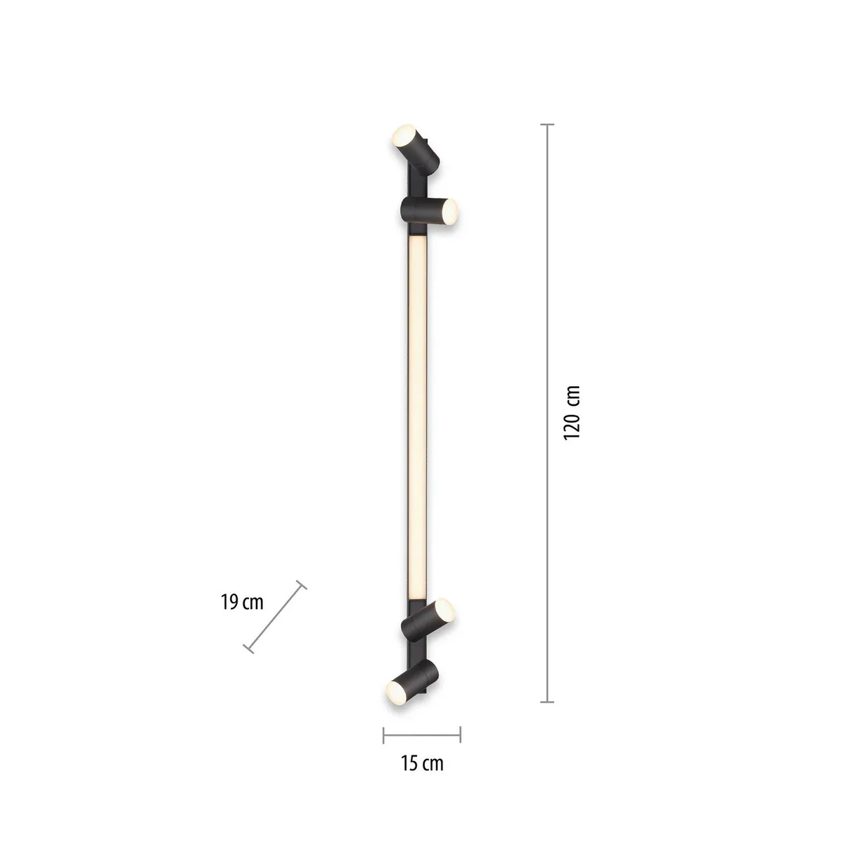 LED plafondlamp Lines, 120 cm, antraciet, afstandsbediening de Paul Neuhaus en Anthracite, Blanc – photo produit
