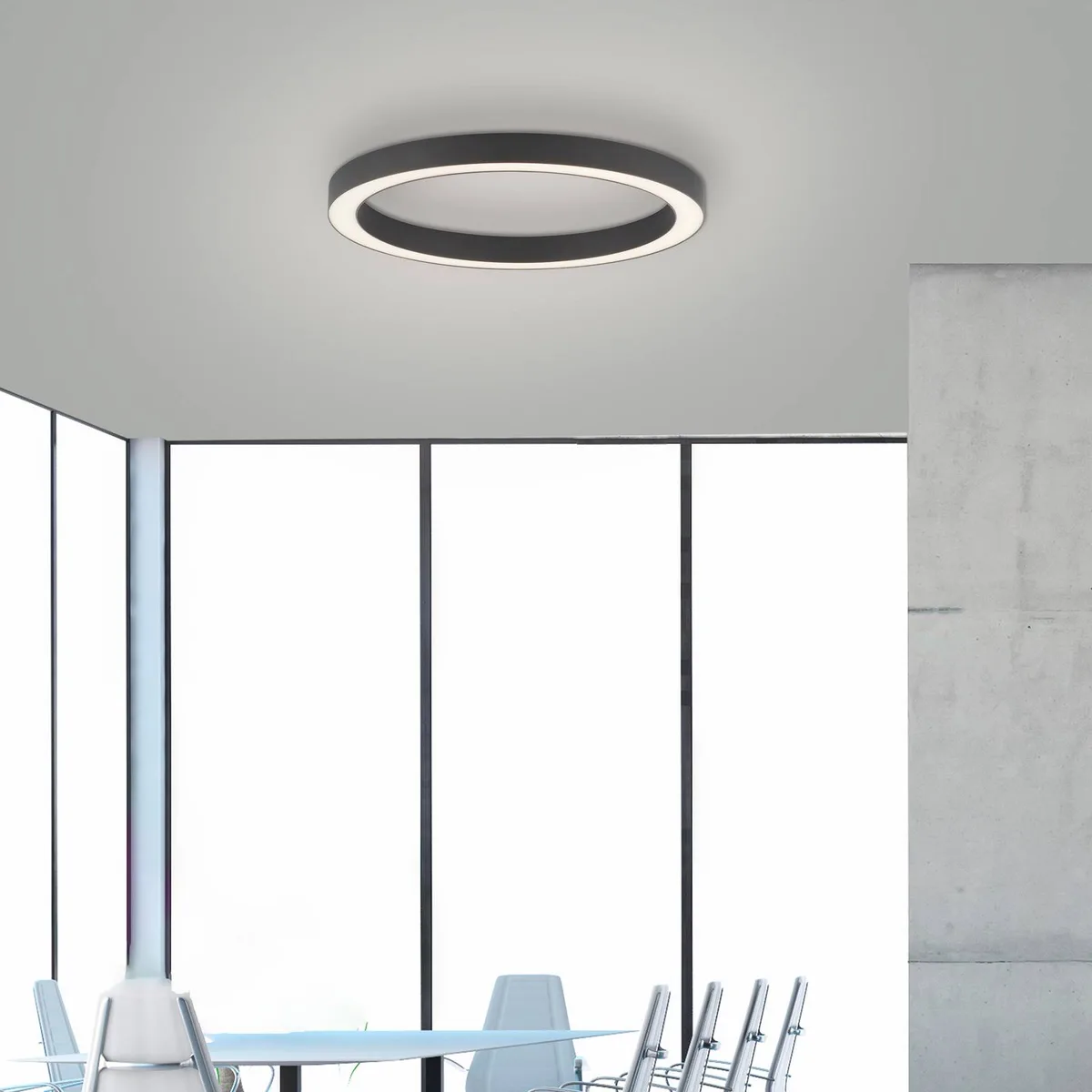 LED plafondlamp Lines, Ø 50 cm, CCT, afstandsbediening de Paul Neuhaus en Anthracite – photo produit