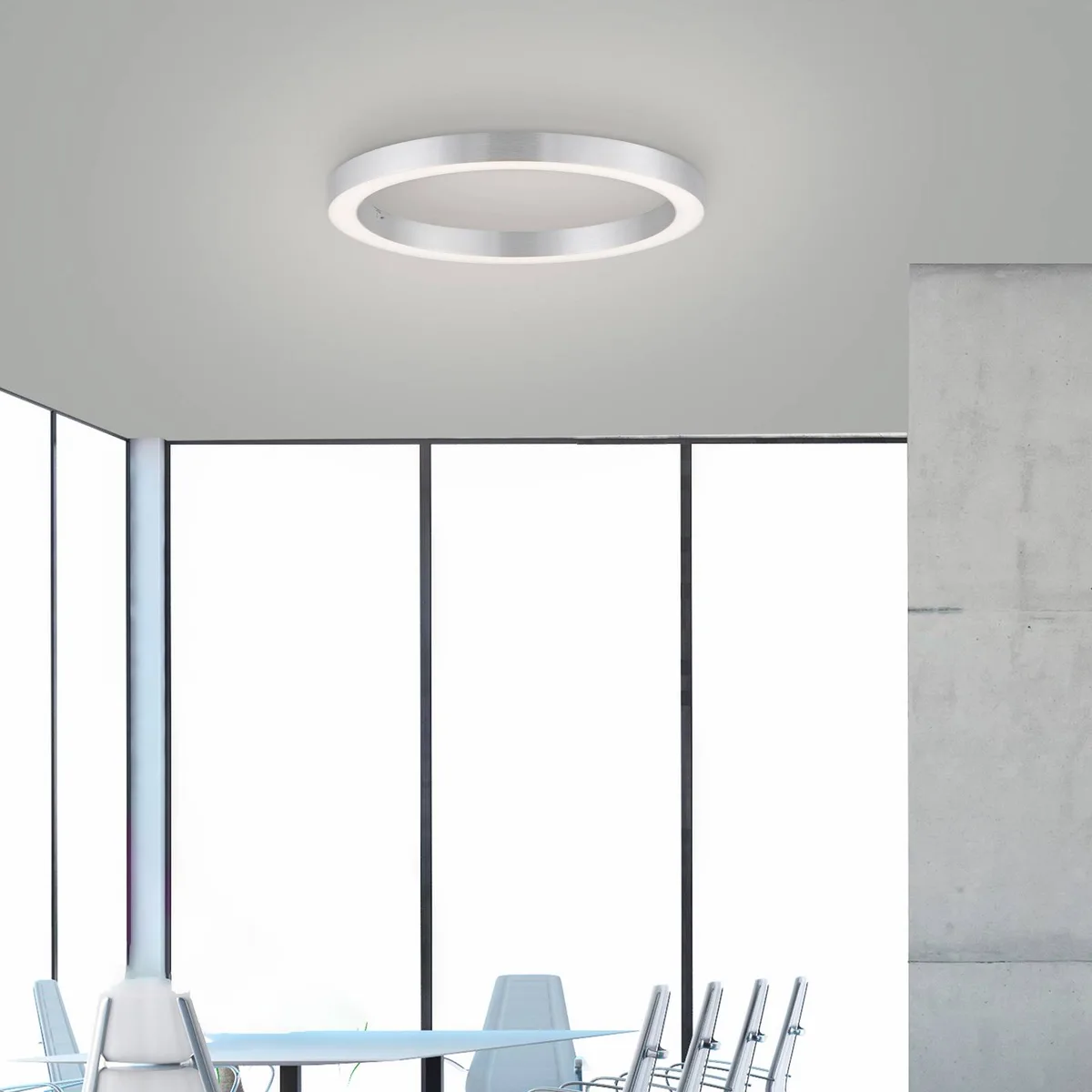 LED plafondlamp Lines, Ø 50 cm, zilverkleurig, CCT de Paul Neuhaus en Argent – photo produit