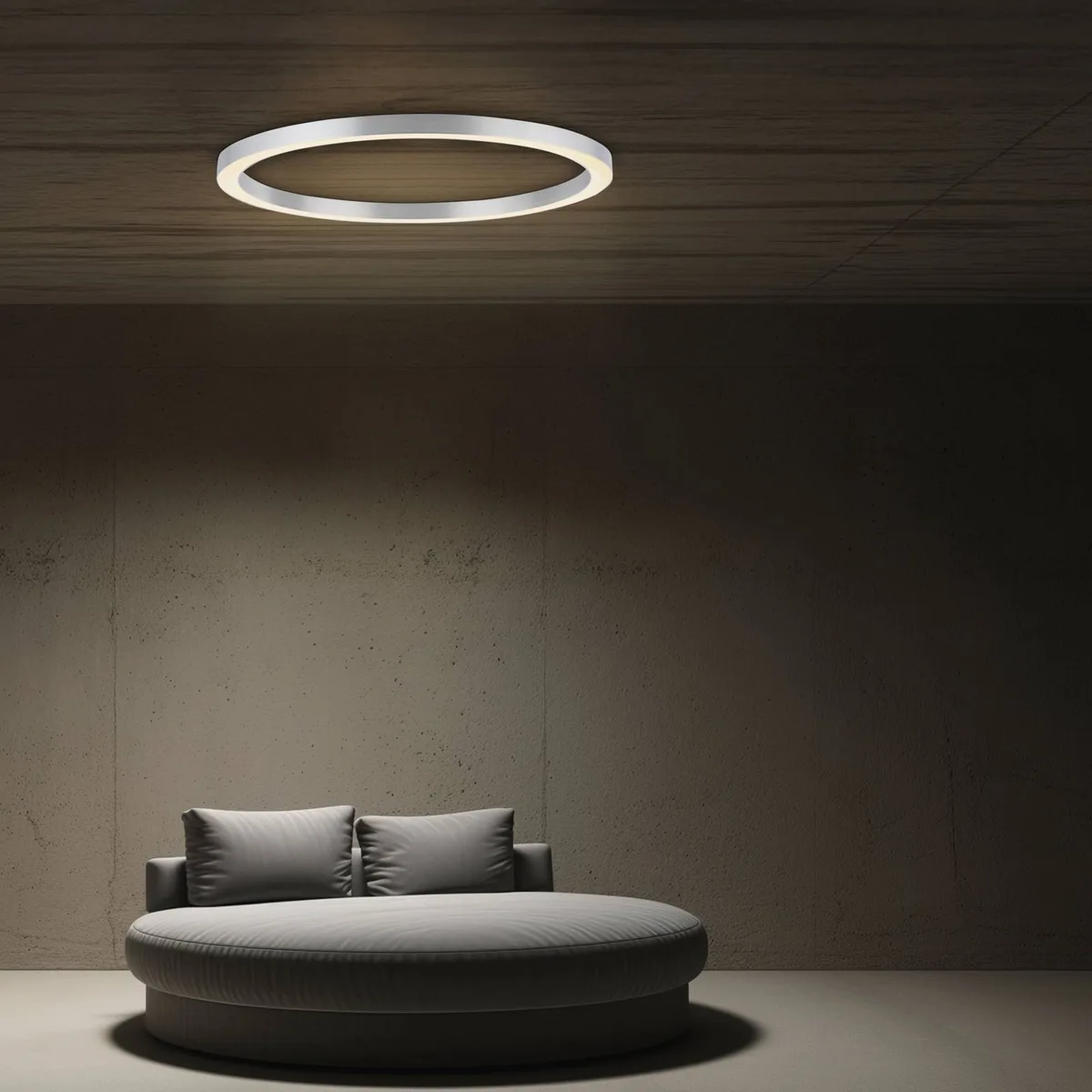 LED plafondlamp Lines, Ø 70 cm, zilverkleurig, CCT de Paul Neuhaus en Argent – photo produit