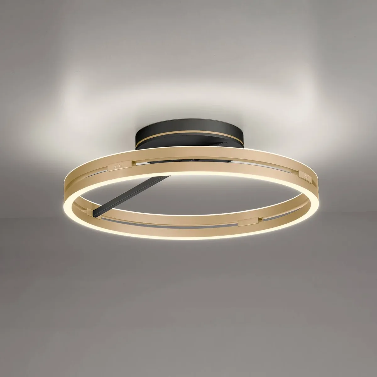 PURE LED-taklampa Loop mässing/svart metall Ø 60 cm CCT von Paul Neuhaus in Messing, Schwarz – Produktfoto