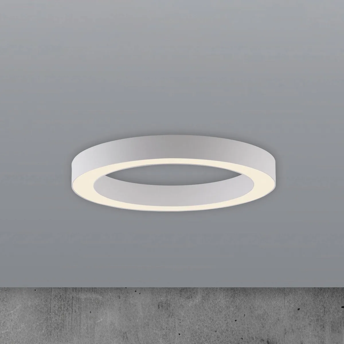 LED plafondlamp PURE Lines, Ø 35 cm, CCT von Paul Neuhaus in Weiß – Produktfoto