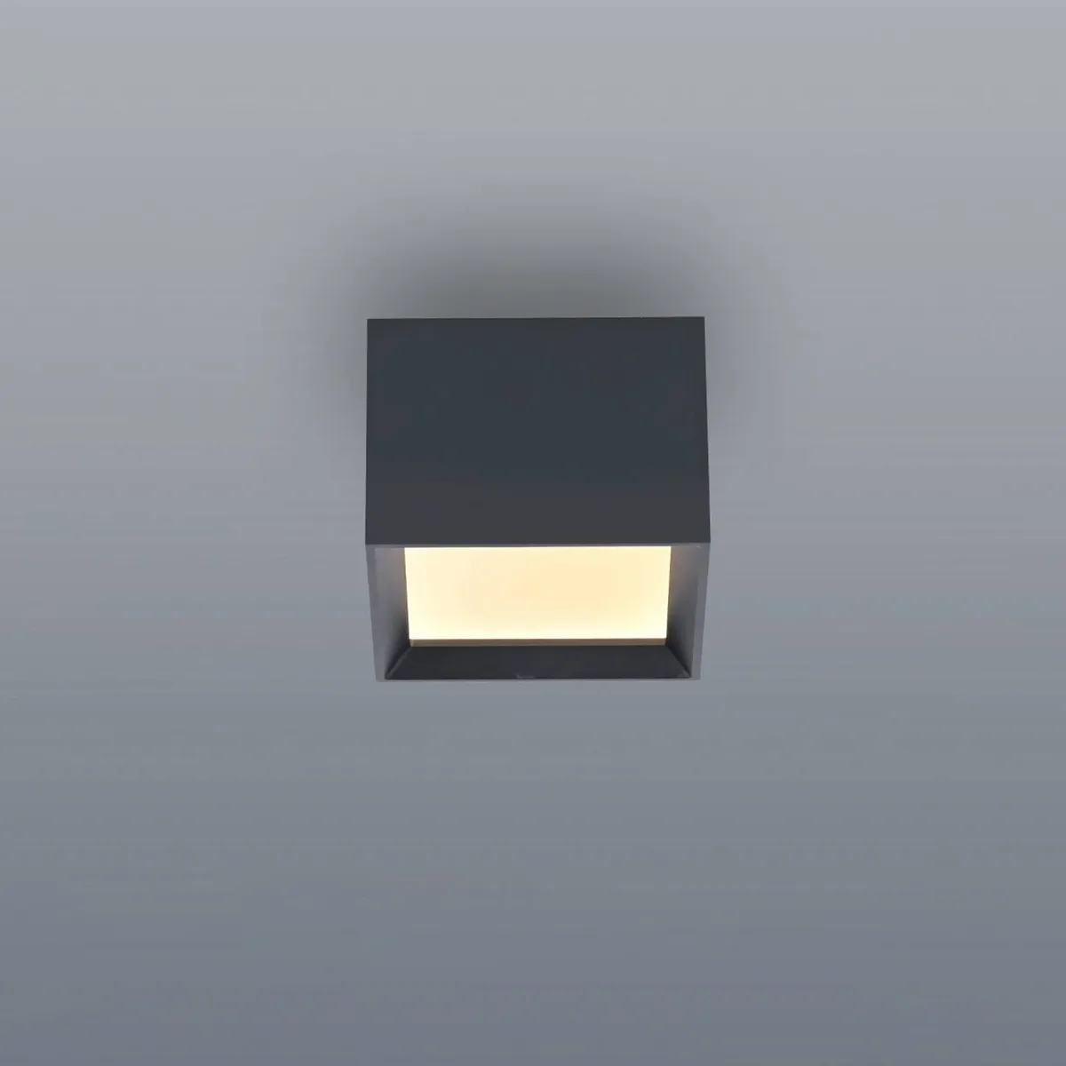 LED plafondlamp PURE Manhattan, 1-lamp, CCT van Paul Neuhaus in Mystic grey – productfoto
