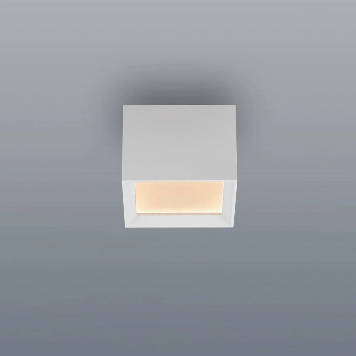 LED plafondlamp PURE Manhattan, snow, 1-lamp, CCT von Paul Neuhaus in Sneeuw – Produktfoto