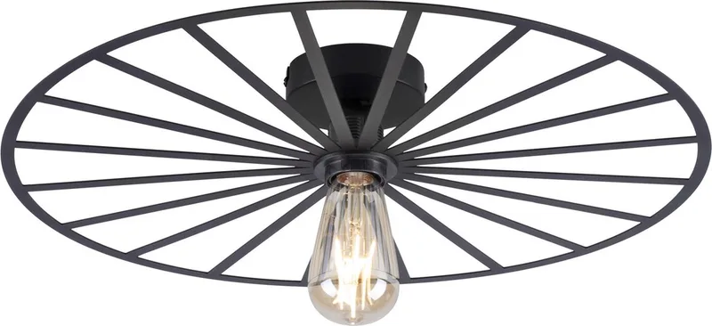 Plafondlamp Isabella Ø 50 cm de Paul Neuhaus en Noir – photo produit