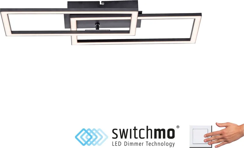 Plafondlamp Iven 54 x 31 cm van Paul Neuhaus in Zwart – productfoto