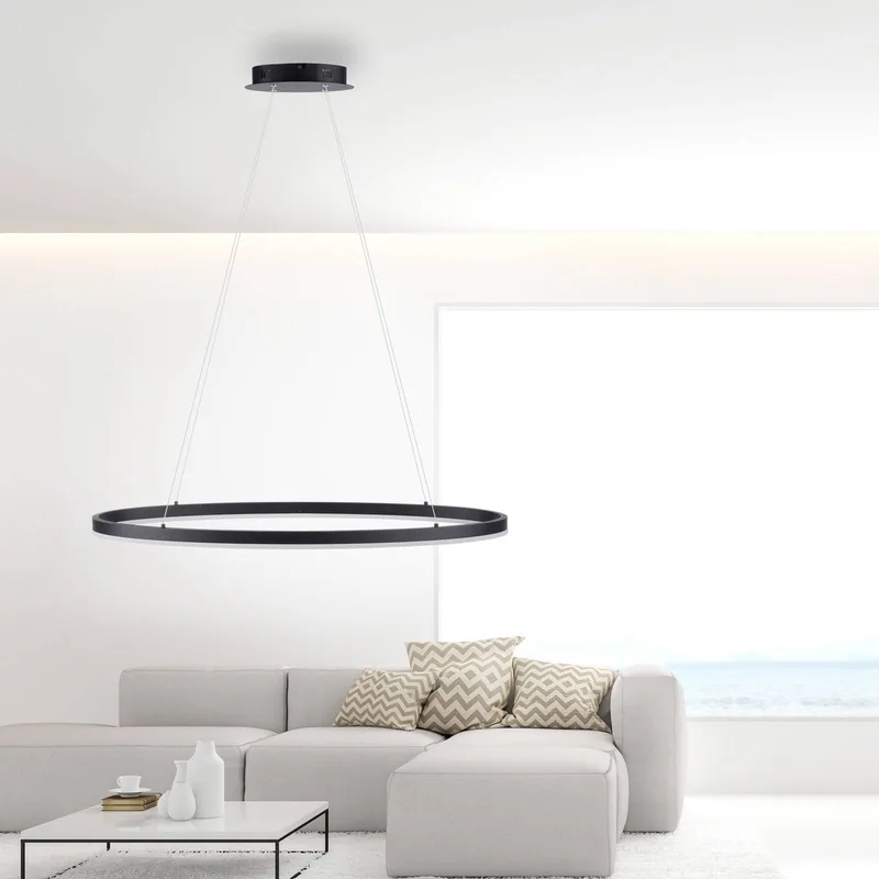 Titus hanglamp, ovaal 80x39cm de Paul Neuhaus en Anthracite – photo produit