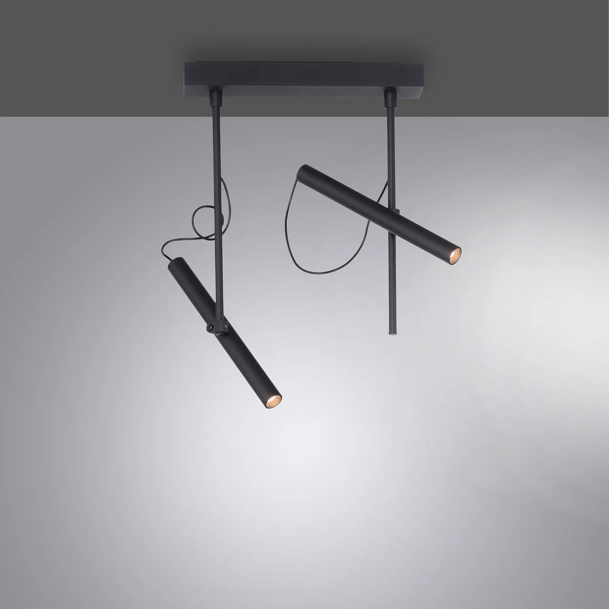 Tutua LED plafondlamp, 2-lamps, zwart - PURE Pure Tutua - Woonkamer - Modern - Metaal - Meerdere lampen von Paul Neuhaus – Produktfoto