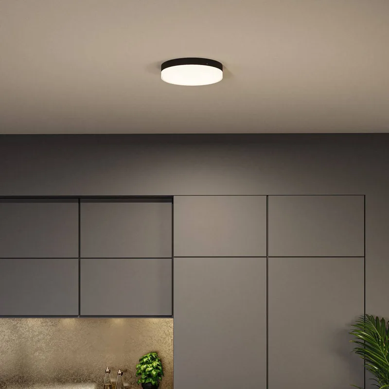 Amalie LED-loftlampe med 3-trins dæmpbar lysstyrke, sort fra Paulmann i Matzwart, Hvid – produktbillede