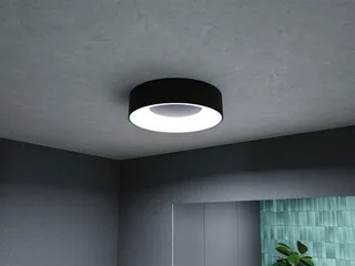 LED-plafondlamp Casca IP44 White Switch 1500lm 230V 16W van Paulmann in Zwart mat – productfoto 2 van 5