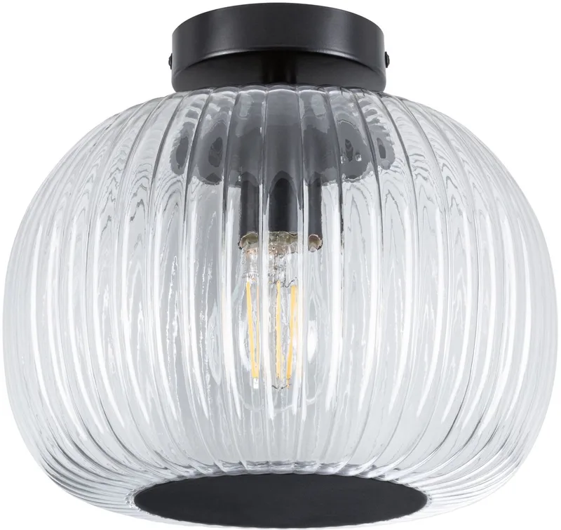 LED-plafondlamp Ruya IP44 E27 230V max. 60W dimbaar Glas, Zwart mat fra Paulmann i Glas, Zwart mat – produktbillede