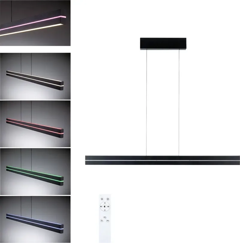 Paulmann 78474 Luminaire à suspendre LED LED intégrée 19 W noir de Paulmann en Noir – photo produit