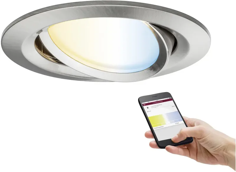 Paulmann 92961 Luminaire à LED encastrable LED LED intégrée 6 W fer (brossé) de Paulmann en IJzer (geborsteld) – photo produit