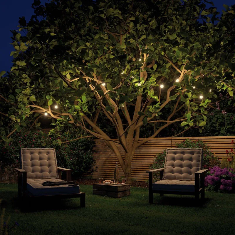 Plug & Shine LED sprookjesverlichting Globe 7x0.2W de Paulmann en Noir, Blanc – photo produit