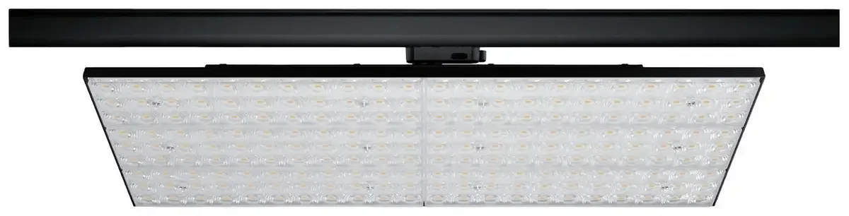ProRail3 Kratos Spot LED sur rail ProRail3 75 W LED von Paulmann in Schwarz – Produktfoto
