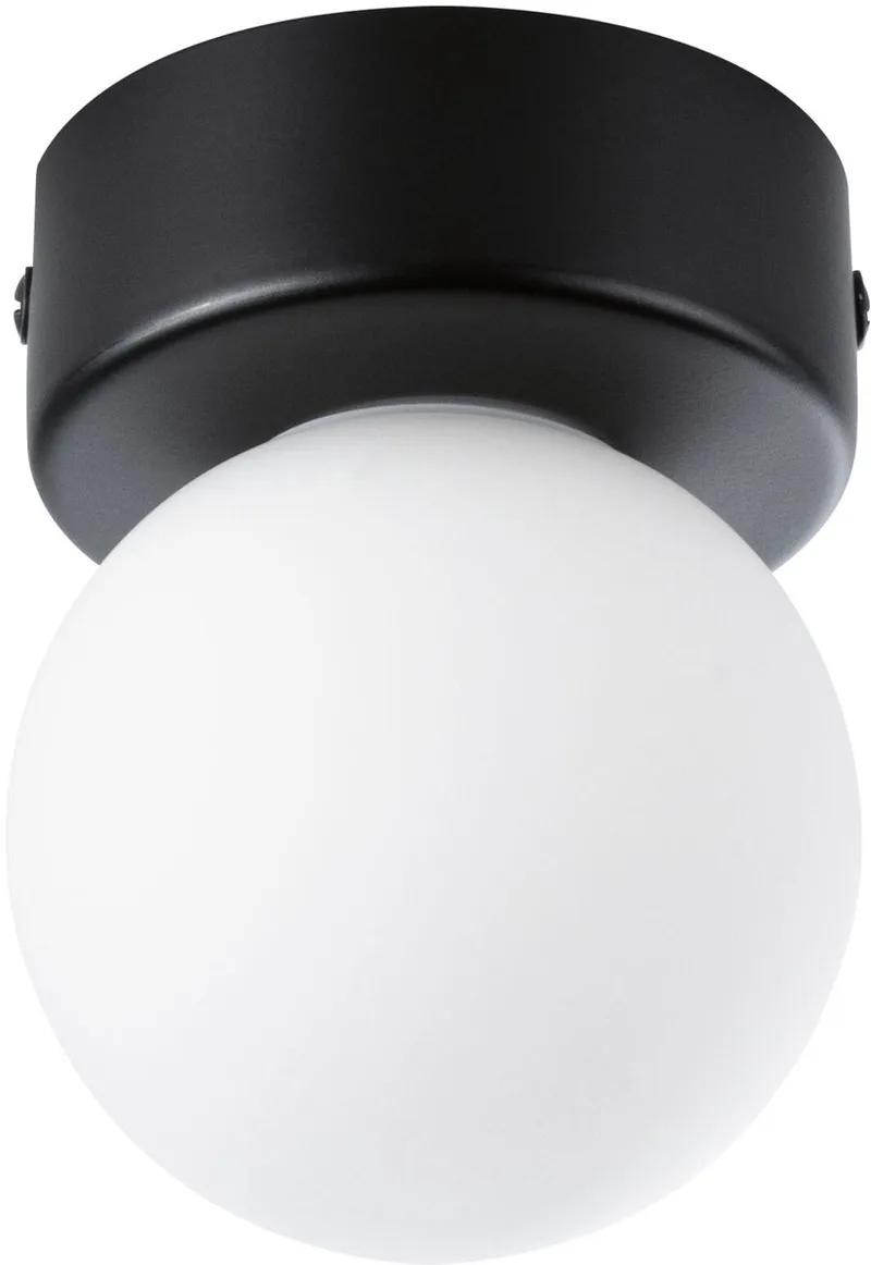 Gove loftlampe IP44 1 lyskilde sort fra Paulmann i Zwart mat, Satijn – produktbillede