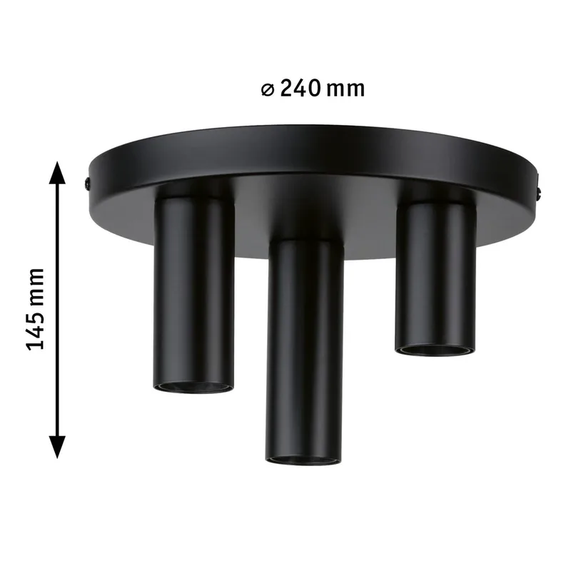 Paulmann 79761 Plafonnier E27 noir de Paulmann en Mat zwart – photo produit