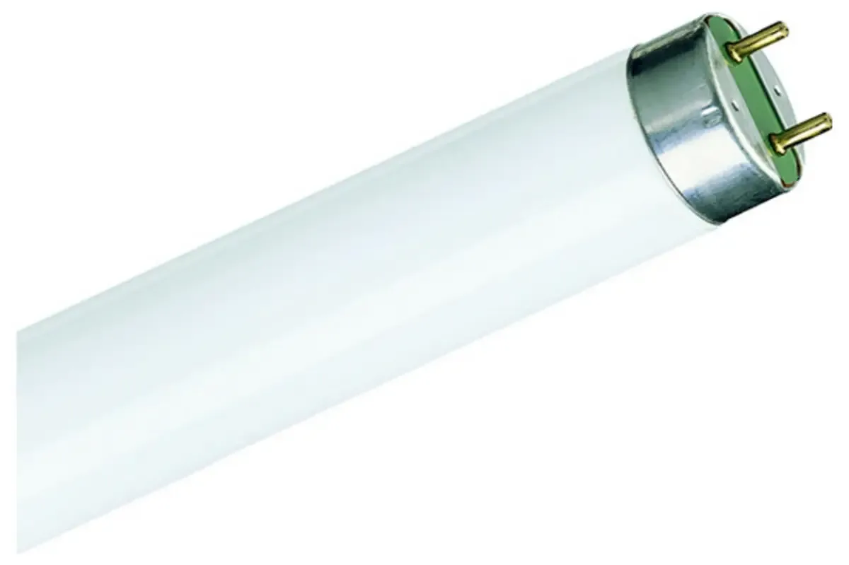 Fluorescentielamp Energielabel: G (A - G) G13 36.6 W Neutraalwit Staaf (Ø x l) 28 mm x 984.2 mm 1 stuk(s) från Philips i Vit – produktbild