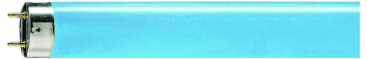 Fluorescentielamp G13 18 W Staaf (Ø x l) 28 mm x 604 mm 1 stuk(s) fra Philips i Blå – produktbillede