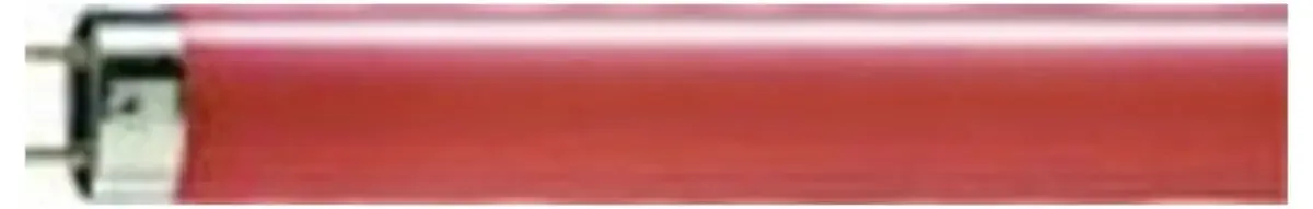 Fluorescentielamp G13 36 W Staaf 1 stuk(s) fra Philips i Rød – produktbillede
