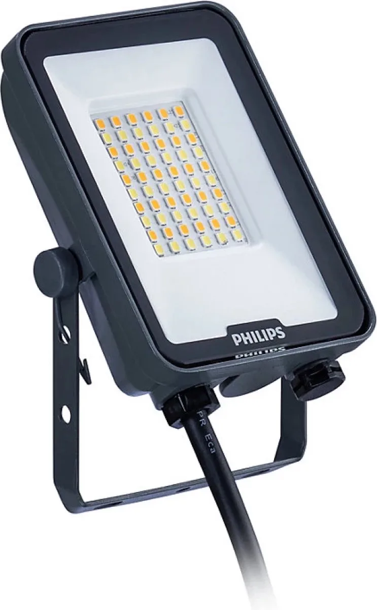 PHIL LED-Strahler Ledinaire IP65 grau 30W 3600lm 3000/4000/6500K symmetrisch von Philips in Dunkelgrün – Produktfoto