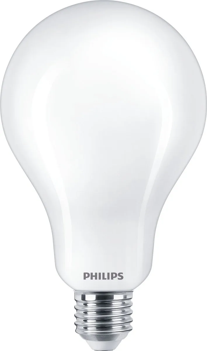 LED lamp E27 A95 23W mat 2.700K by Philips – product photo