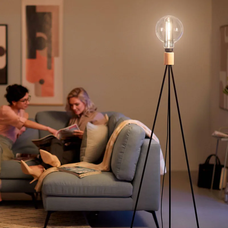 Giant Globe røgfarvet LED-pære E27 6,5W fra Philips – produktbillede