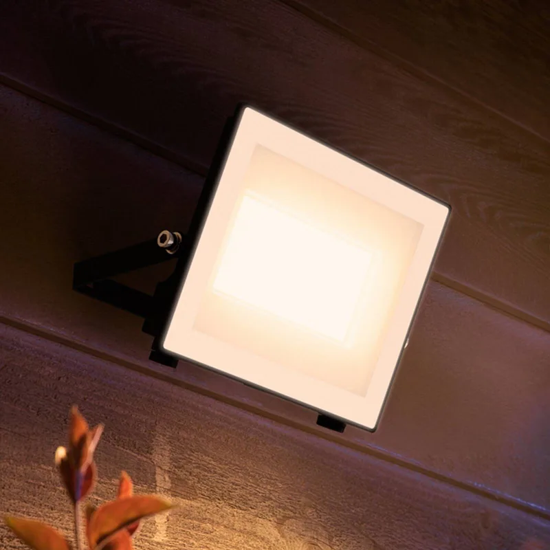 LED-buitenspot Lois UE flood, 24 W, 3.000 K, IP65 fra Philips i Antracit, Hvid – produktbillede