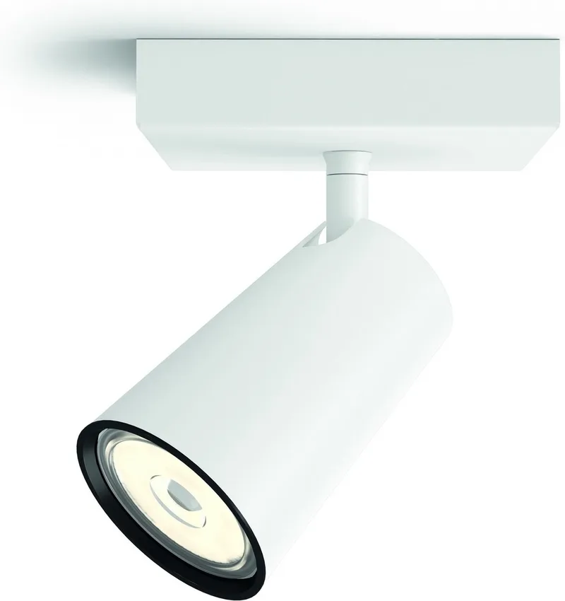 Paisley opbouwspot - 1-lichts fra Philips i Hvid – produktbillede