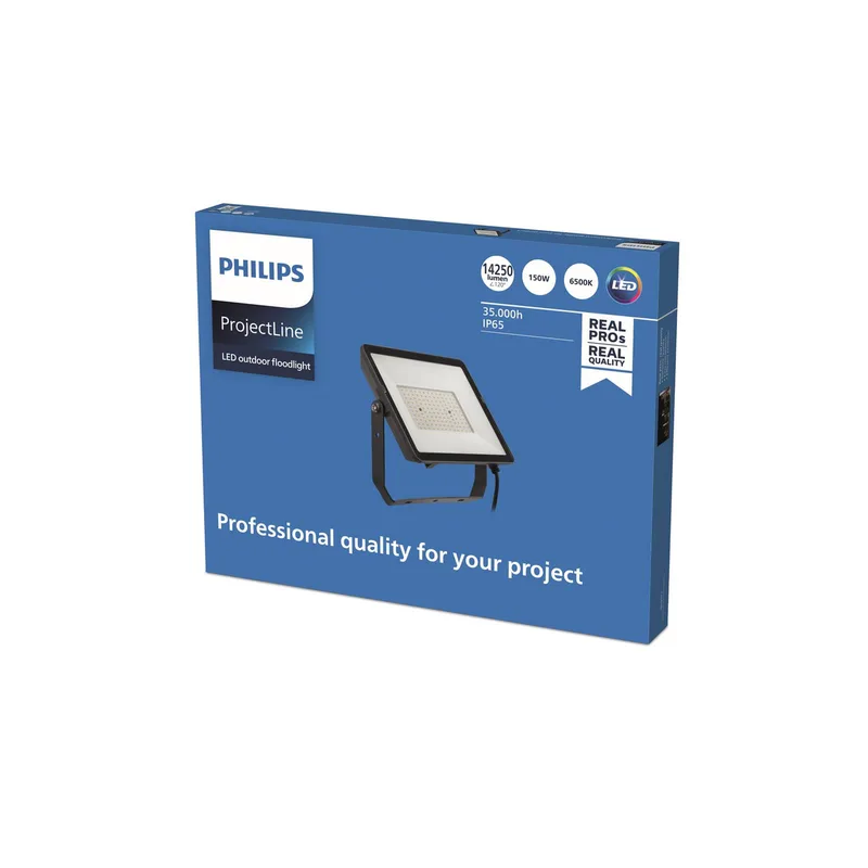 ProjectLine LED buitenspot 6.500K 150W van Philips in Zwart, Helder – productfoto