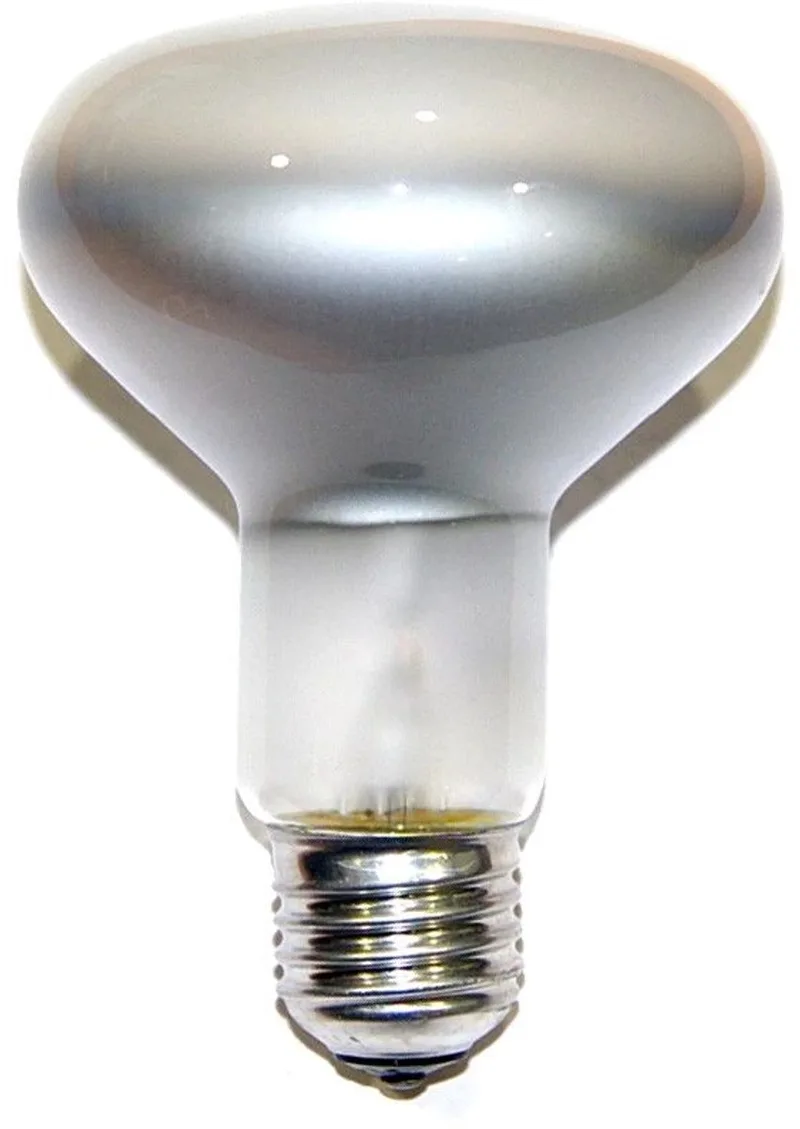 Spotline Reflector R95 100W E27 230V Mat de Philips – photo produit