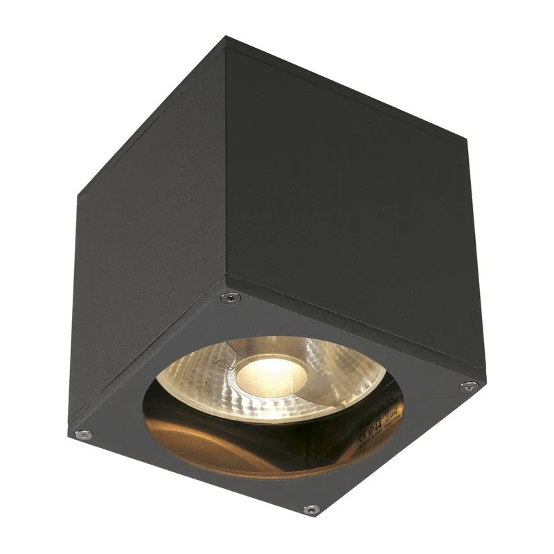 Big Theo buitenwandlamp, 1-lamp fra SLV i Antracit – produktbillede