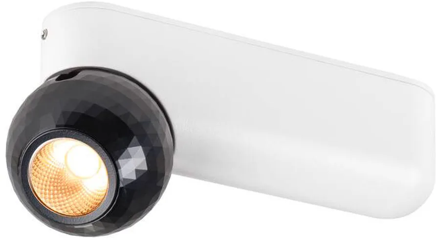 DYSKO, Wand- und Deckenaufbauleuchte, single, PHASE, 2700K, 6.7 W, 36°, weiß / schwarz - Wand- und Deckenleuchten fra SLV – produktbillede