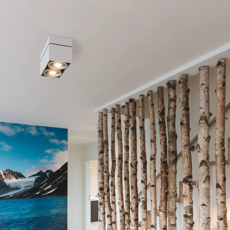 Kardamod plafondlamp, staal, lengte 31,5 cm, 2-lamps. de SLV en Blanc – photo produit