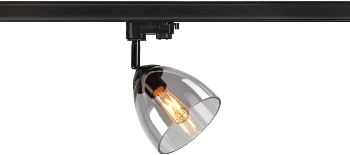 PARA CONE GL GU10, 3 Phasen Spot bambus / transparent - Leuchten mit 3 Phasen Adapter 230V de SLV – photo produit