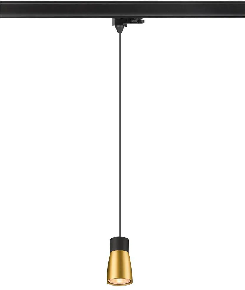 PURI 2.0 Dome, 3~ Pendelleuchte, GU10, Pendellänge 200cm, 1x max. 6W, schwarz / gold - Leuchten mit 3 Phasen Adapter 230V von SLV – Produktfoto
