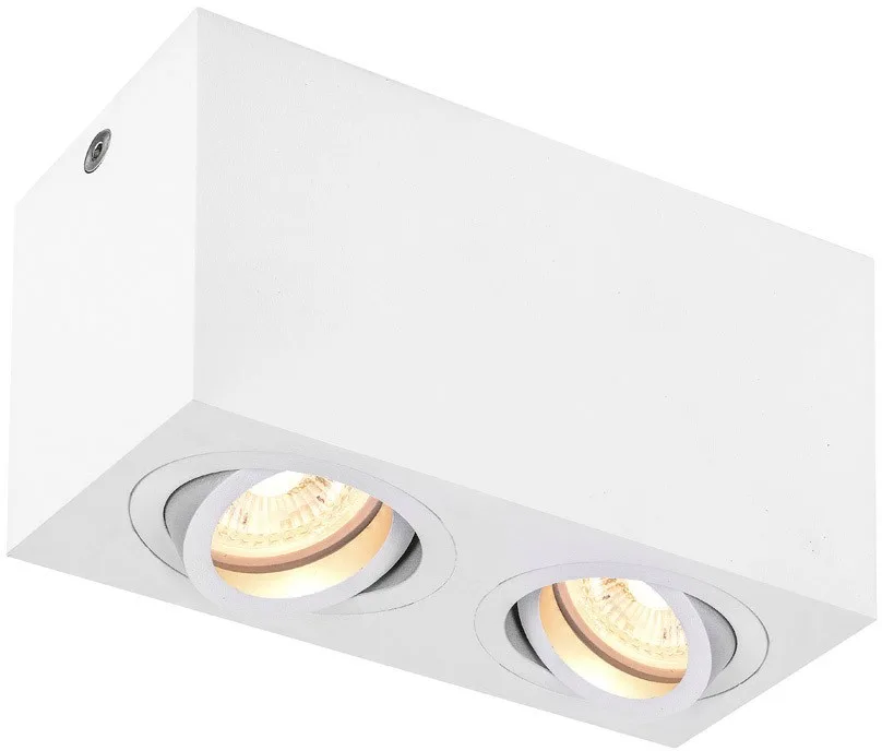 TRILEDO, Indoor Deckenaufbauleuchte, QPAR51, 2x, weiß, max 10W - Wand- und Deckenleuchten från SLV – produktbild