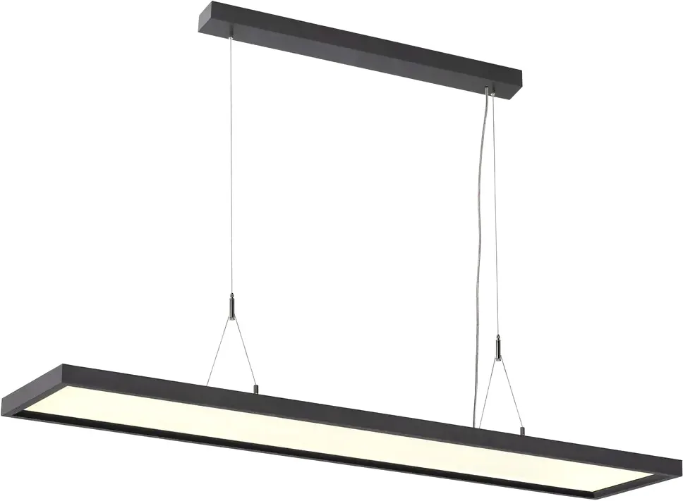 WORKLIGHT DALI, Pendelleuchte schwarz 57W 4000K 80° - Pendelleuchten de SLV – photo produit