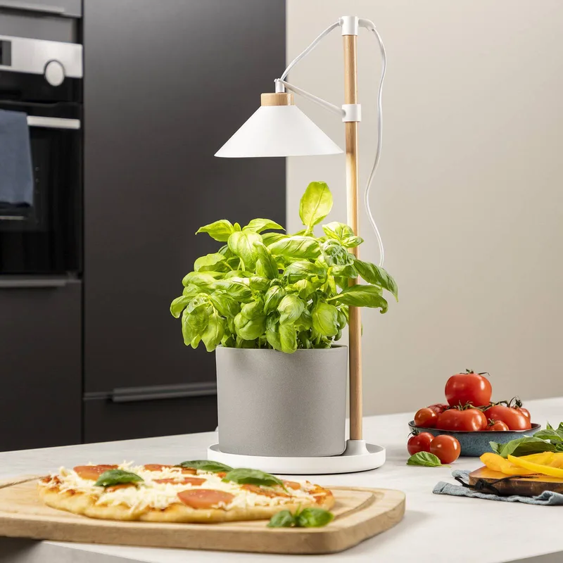 LED-plantebelysning ISL-60028 fra Smartwares i Hvid, Licht hout – produktbillede