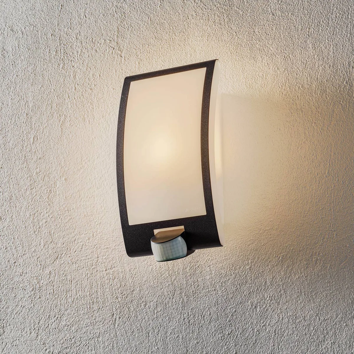 L 22 S Außenwandlampe mit Sensor anthrazit fra Steinel i Antracit, Hvid – produktbillede