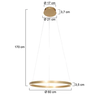 Hanglamp | 60 cm | Ringlux | ingebouwde vervangbare LED module | goud | kunststof en metaal | hotel de Steinhauer – photo produit 3 sur 3