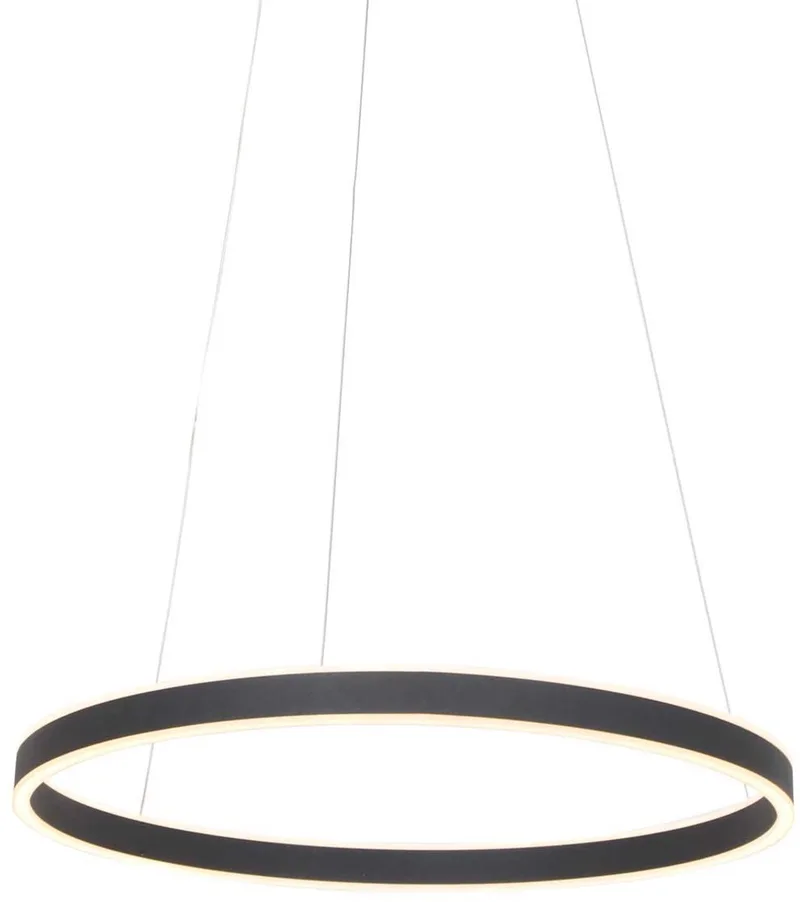 LED-Hängeleuchte Ringlux Ø 60cm 2-flammig schwarz von Steinhauer in Schwarz – Produktfoto