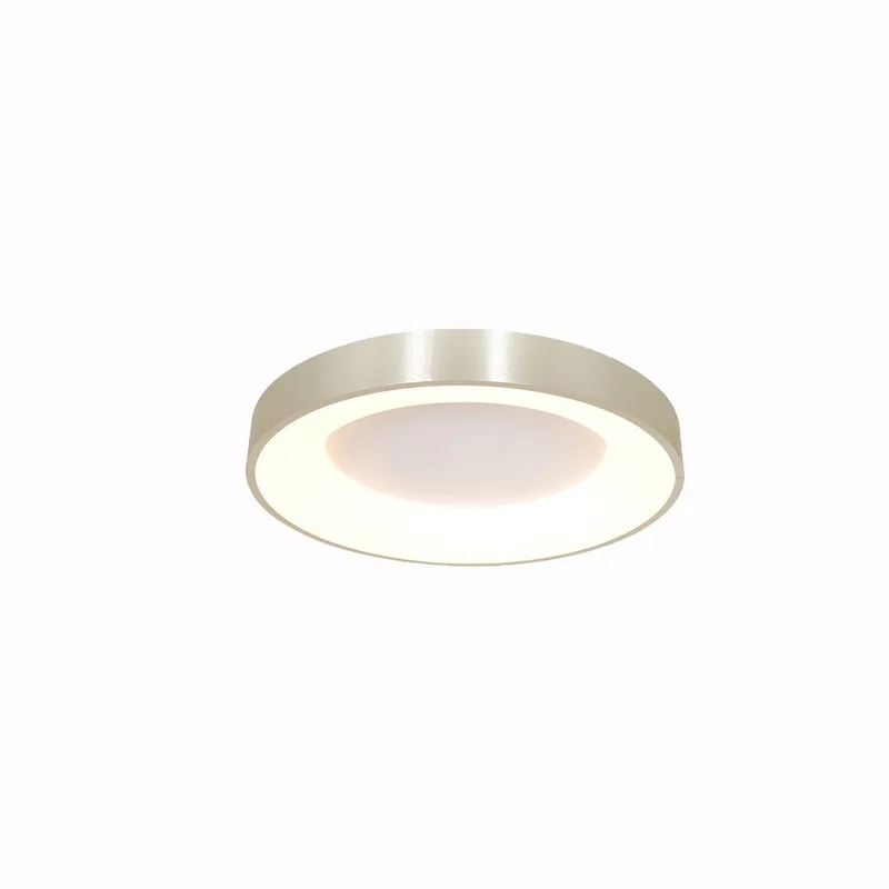 Plafondlamp Ringlede 3086ZI Ø30cm | Design | Kunststof, Metaal, Elektronica | Steinhauer by Steinhauer in Silver – product photo