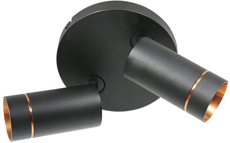 Zwarte Downlume 4858ZW 2-lichts GU10 plafondspot van Steinhauer, metaal, draaibaar en kantelbaar, diameter 25 cm, hoogte 20 cm, modern design voor binnengebruik van Steinhauer in Zwart – productfoto 1 van 2