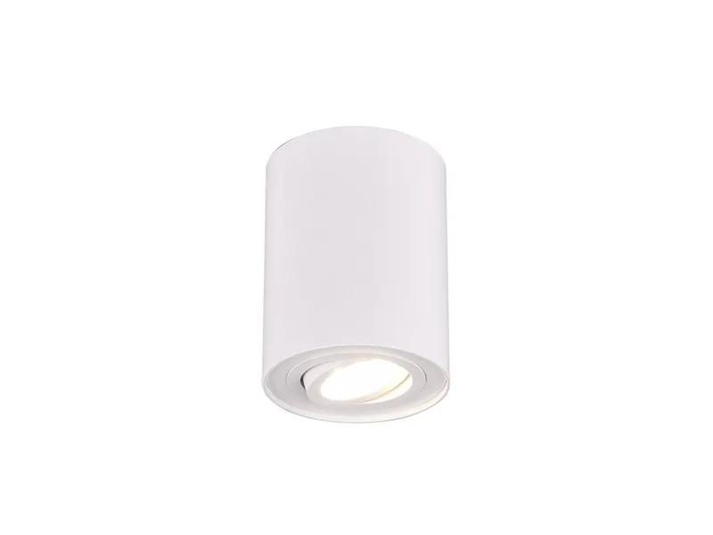 LED Deckenstrahler, Dimmfunktion, LED wechselbar, Warmweiß, kleiner Aufbau-Spot Aufputz Strahler innen, Treppenhaus, Ø 9,6cm de Trio en Blanc – photo produit